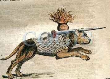 Illustration d'un chien soldat