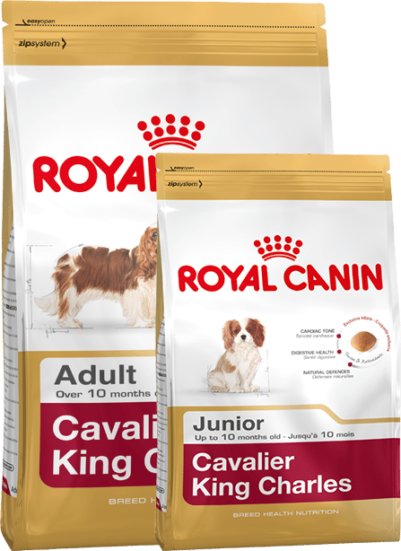 Aliment du Cavalier king charles spaniel