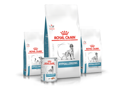Gamme ROYAL CANIN® Hypoallergenic destinés aux chiens à la réduction des intolérances à certains ingrédients et nutriments