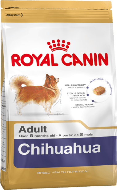 Aliment du Chihuahua